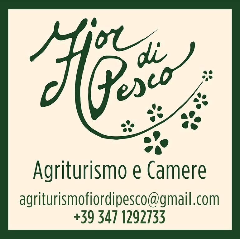 فندق سوماكامبانافي  Agriturismo Fior Di Pesco المظهر الخارجي الصورة